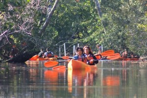 Kayaks sliding through Back Bay National Wildlife Refuge.